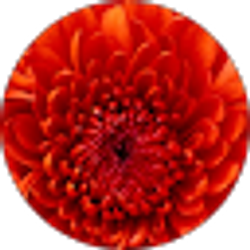 Profile photo of JP JP