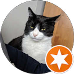 Profile photo of Ethan McGarry