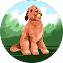 Profile photo of Alyssa Burger