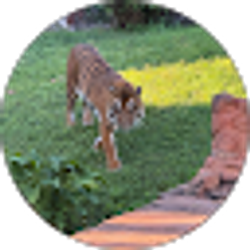 Profile photo of Katie Hessert