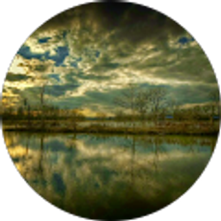 Profile photo of jeramy dahl