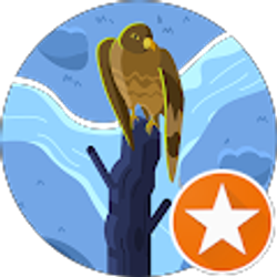 Profile photo of Mike C