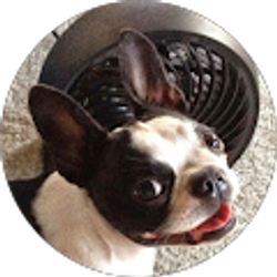 Profile photo of David S