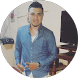 Profile photo of Car lop