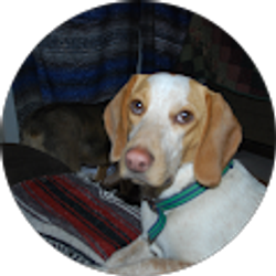 Profile photo of Andy Lucas