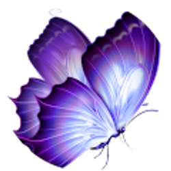 Profile photo of Amy Heiser