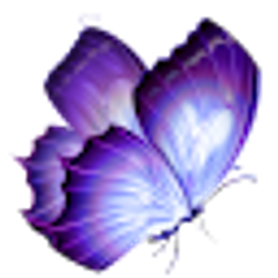 Profile photo of Amy Heiser