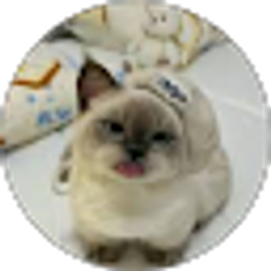 Profile photo of Ari I