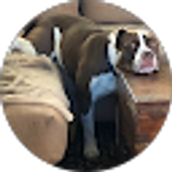 Profile photo of Trajan Parker
