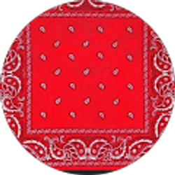 Profile photo of Casey Hill