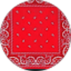 Profile photo of Casey Hill