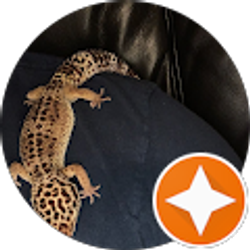 Profile photo of luca lepori