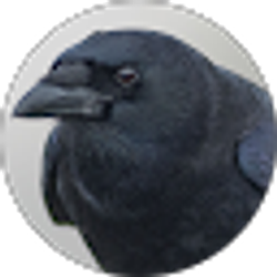 Profile photo of D K