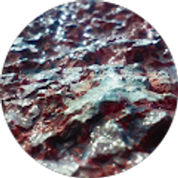 Profile photo of Angel