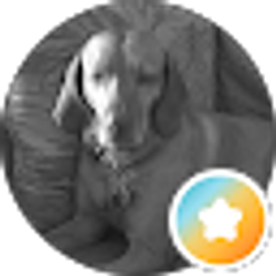 Profile photo of Robin Murray