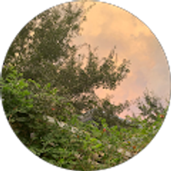 Profile photo of Livia Baird