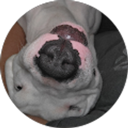 Profile photo of Antonio Miranda