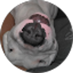 Profile photo of Antonio Miranda