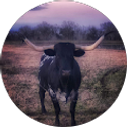 Profile photo of Rudy Billings