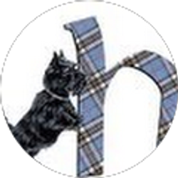 Profile photo of Gail Fournier