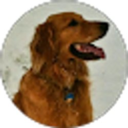 Profile photo of GA Rush