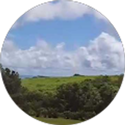 Profile photo of Roger Burns