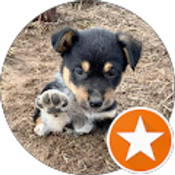 Profile photo of Jack Dukes