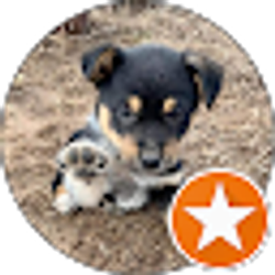 Profile photo of Jack Dukes