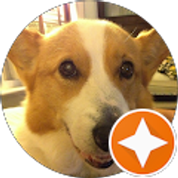 Profile photo of Susan Douglas