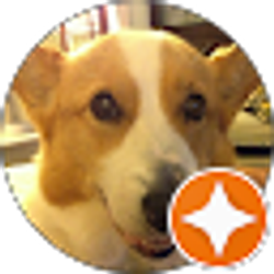 Profile photo of Susan Douglas