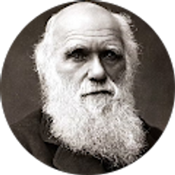 Profile photo of Oggie Ogden