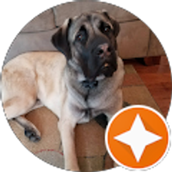 Profile photo of Teri Aunspach