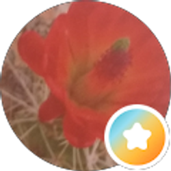 Profile photo of F B