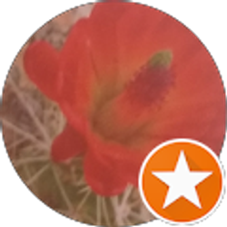 Profile photo of F B