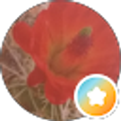 Profile photo of F B