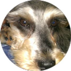 Profile photo of Linda Kirinus