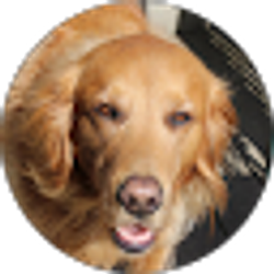 Profile photo of Jeanine Hohm