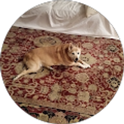 Profile photo of Casey Berger