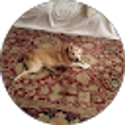 Profile photo of Casey Berger
