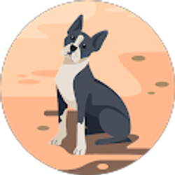 Profile photo of Gina Streed