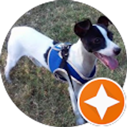 Profile photo of Jon P.