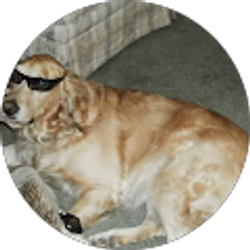 Profile photo of Jonathan Taylor