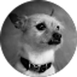 Profile photo of Pedro Cervantes