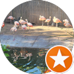 Profile photo of teagan amacher