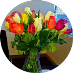 Profile photo of Tara Gudenkauf