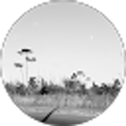 Profile photo of D'vanti Morley