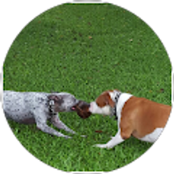 Profile photo of Leslie Knoles