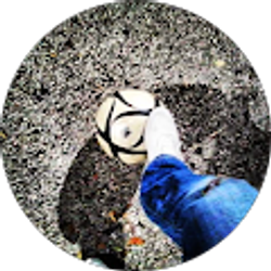 Profile photo of Semir Rodic