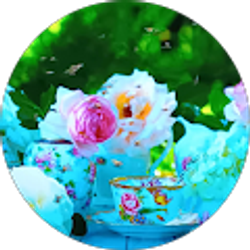 Profile photo of Julie Mcanally