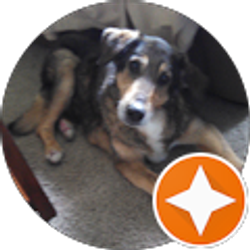 Profile photo of Patti Finseth